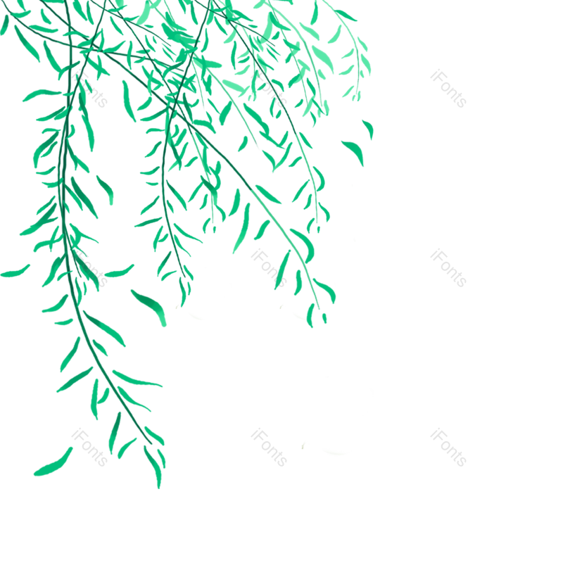 绿叶图片,树叶元素,植物素材PNG,春天免抠素材